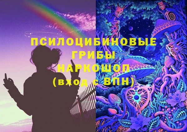 эйфоретик Инта