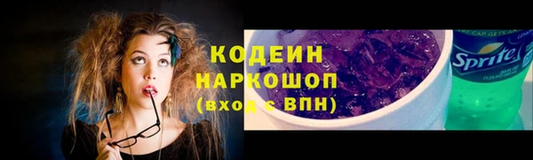 эйфоретик Инта