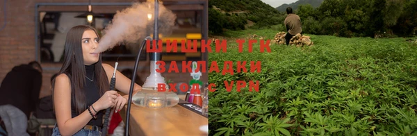 герыч Иннополис
