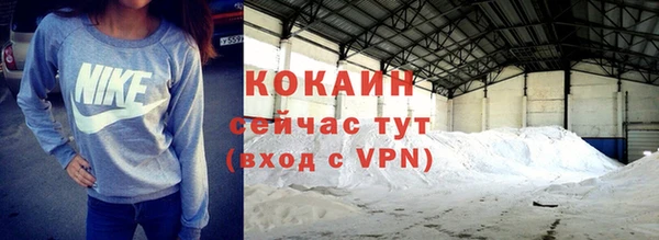 бошки Инсар