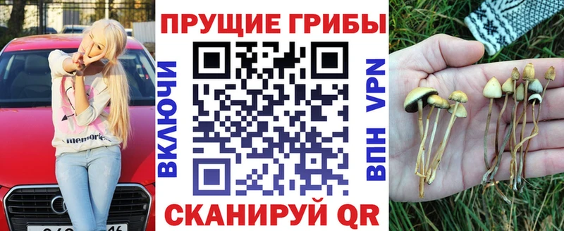 Купить  Баймак  Галлюциногенные грибы мухоморы 